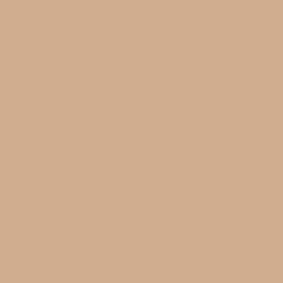 020 - Warm Beige